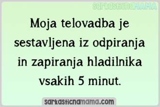 Moja telovadba